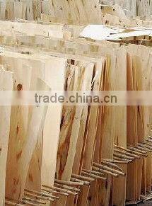 Wood lamination machine
