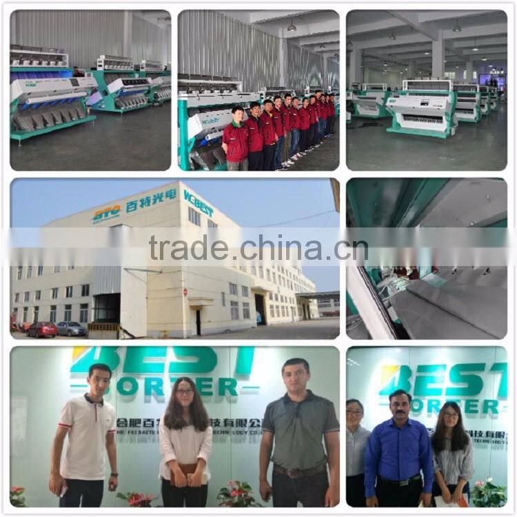 Hot sale and prefect quality coffee bean color sorter