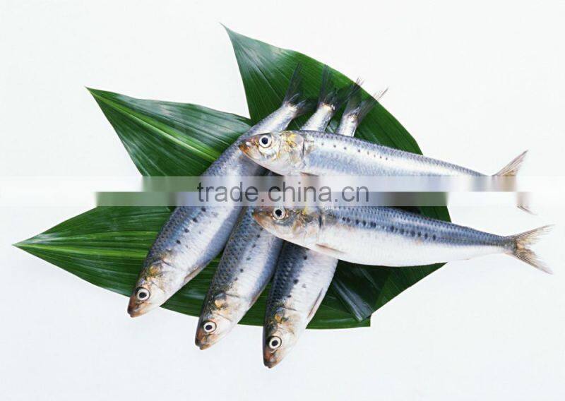 Sardine Multiple layer continuous type mesh belt dryer