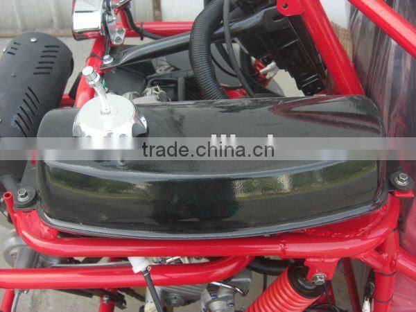 Off Road 250cc Sand Buggy