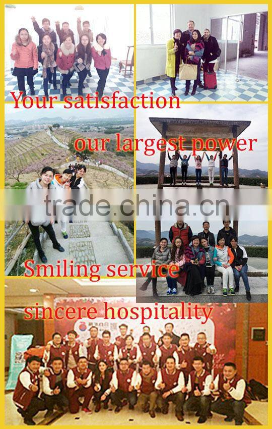 2016 Amazon Type Led Solar Garden Sensor Steel Light Rainproof Wireless Security Motion Sensor Activitived Led Light