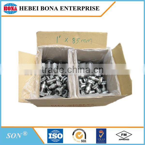 Popular hot dipped / electric galvanized carbon steel pipe nipples