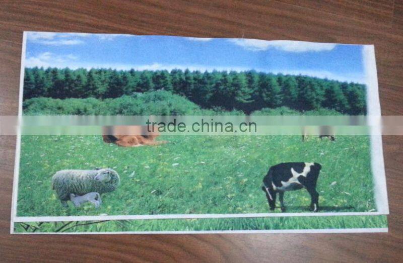 heat transfer printing indoor banner