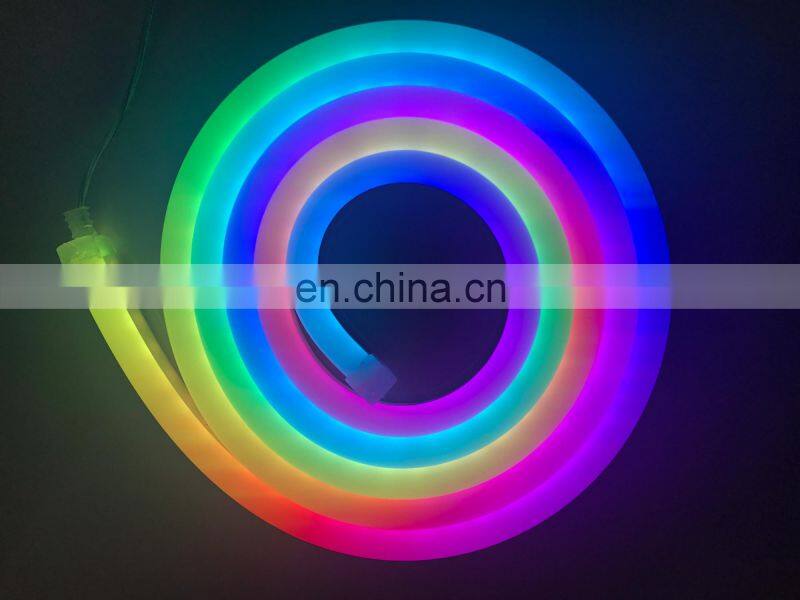 Rebow ws2811 ws2812b Digital IP67 Waterproof 5V 12V 24V Magic color rgb led flex neon DMX