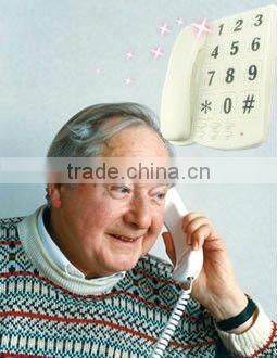 CE standard large number phone