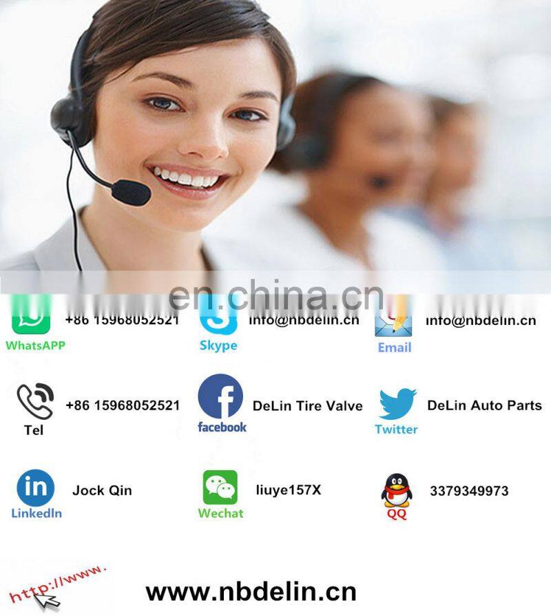 DeLin truck single bend tyre valve tractor brass factory seal clamp-in tyre valve V3-20-1HX