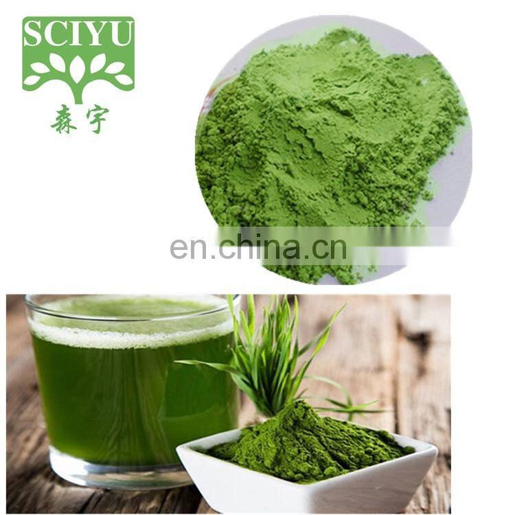 Factory Supplier 5:1 10:1 20:1 barley grass extract powder
