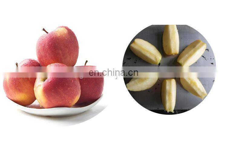 Automatic fruit stone extractor apricot and apple core removal machine.
