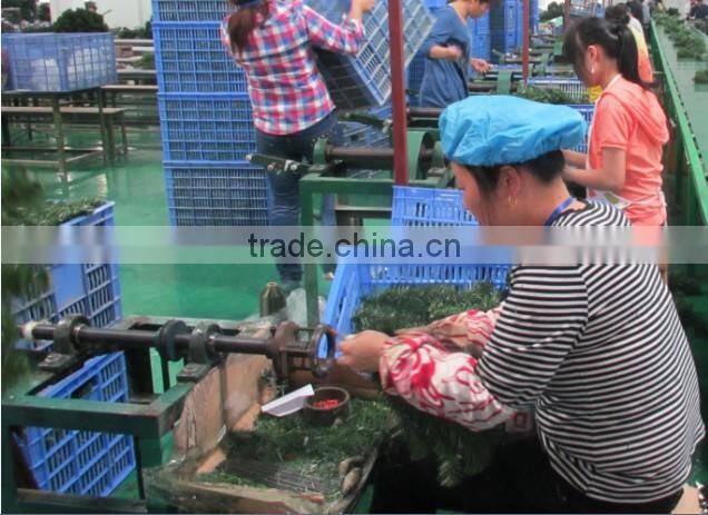 4 line Leaf Drawing Machine for Christmas Tree