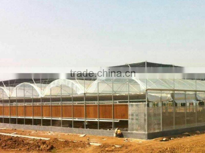 Pe film greenhouse