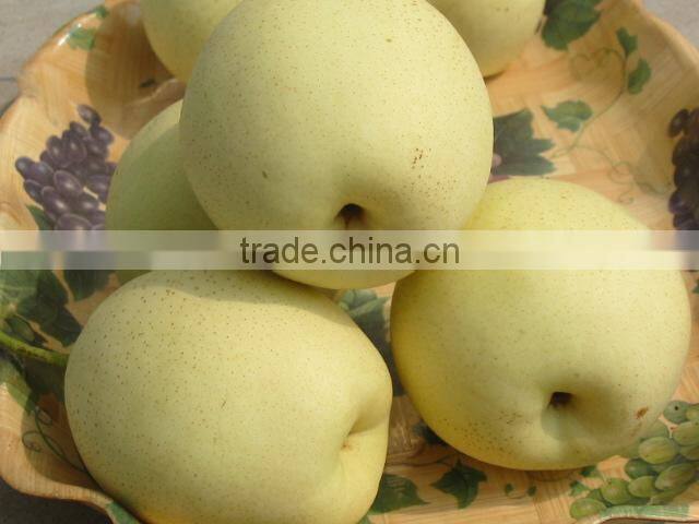 chinese fresh ya pear