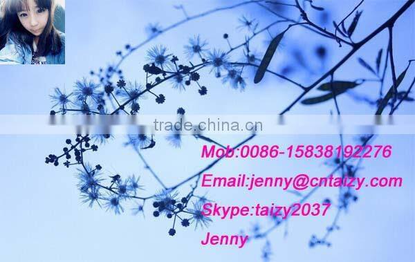 Vacuum Sealer Double chamber vacuum package machine