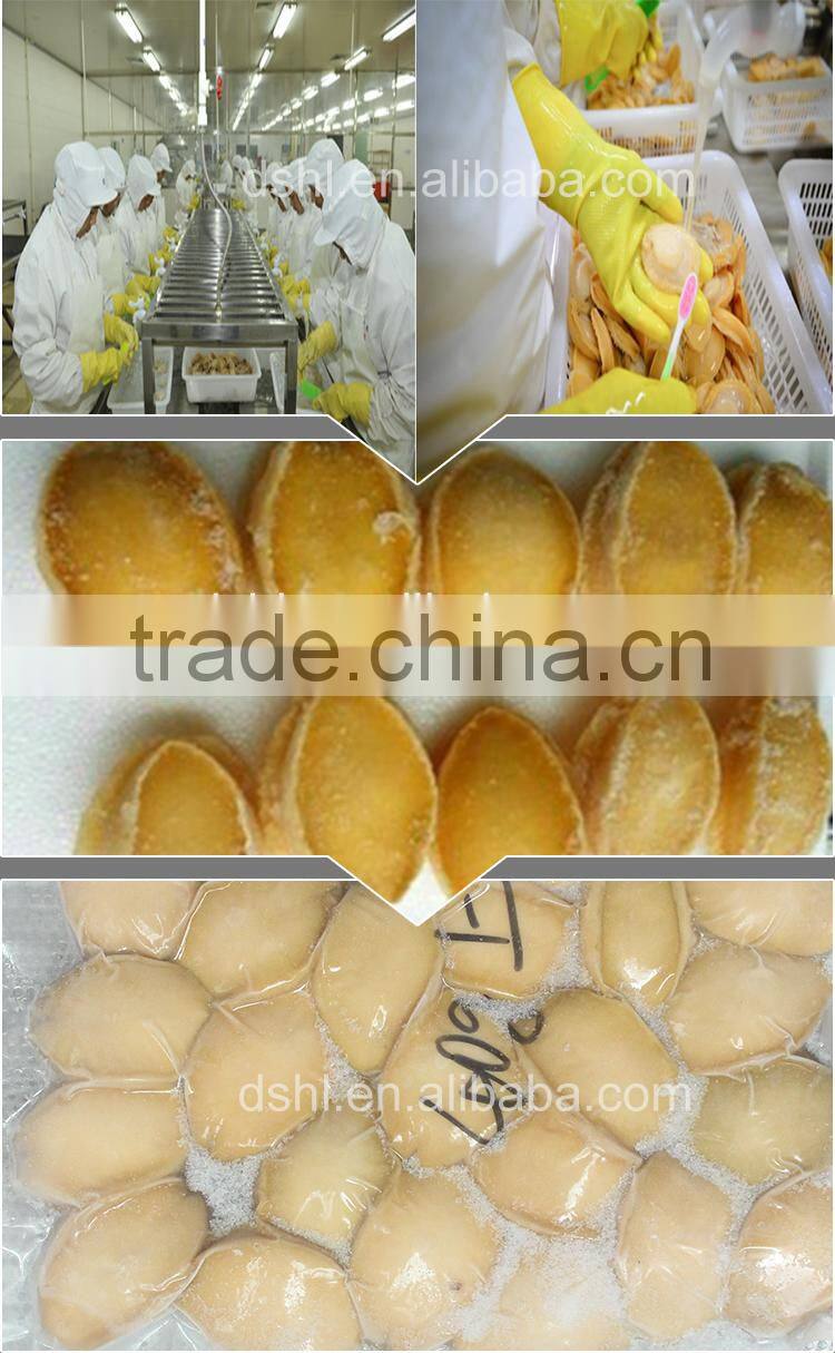 Top selling abalone in alibaba lip abalone