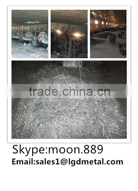 Good manufacturer of common nail/best price for nails