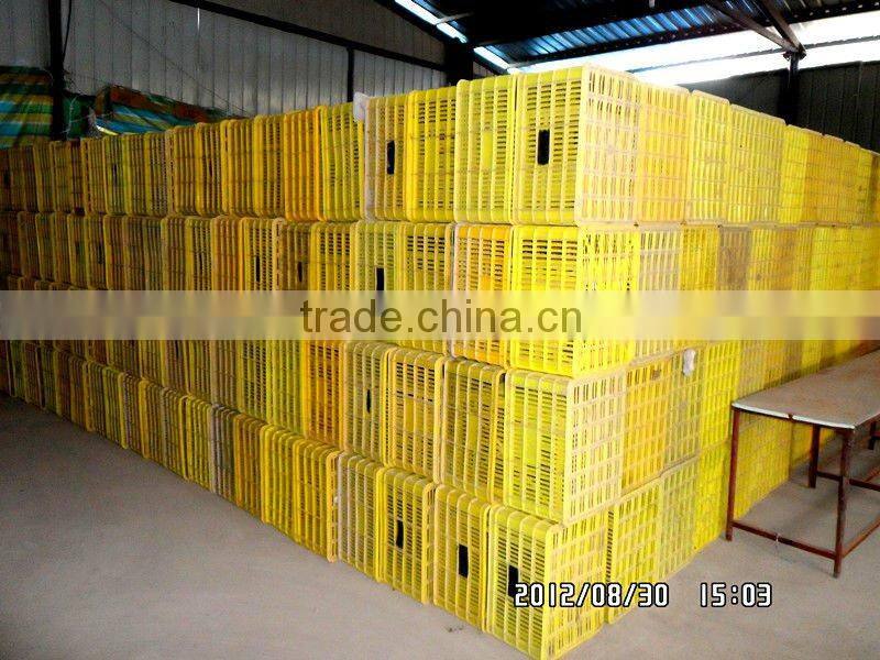 himachal apples from apple hometown