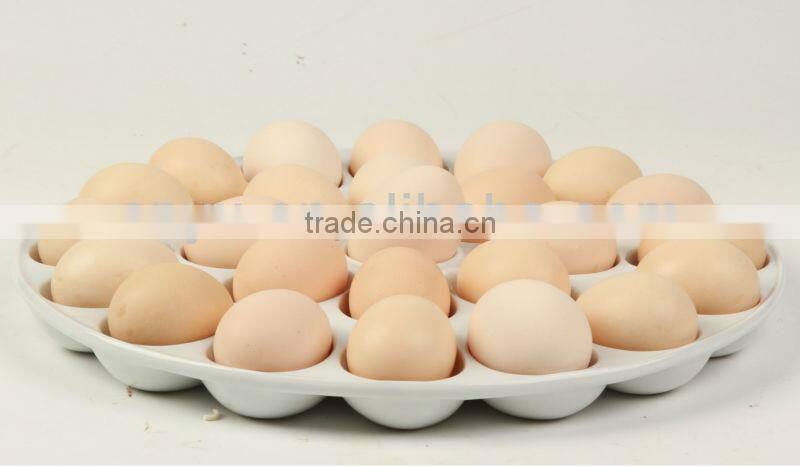 Ceramic Egg Holder Plate