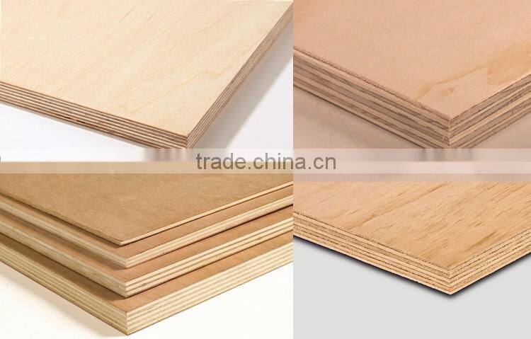 11/32 in. x 4 ft. x 8 ft. Rtd Southern Yellow Pine Plywood Sheathing