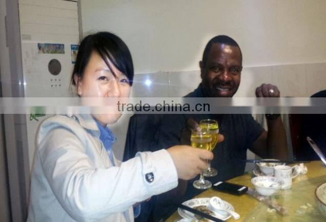 2 axles heavy duty machinery transport low bed semi trailer (axle or size optional)