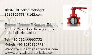 Hot Sale PN10/PN16 Cast Iron/Ductile Iron Water & Gas Control Wafer Check Valve