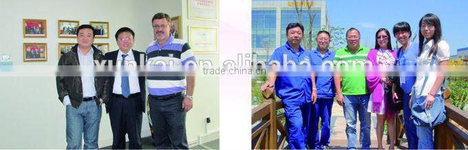 Traffic Accident Rescue Tools Hydraulic Ram 63/70Mpa Hydraulic Ram