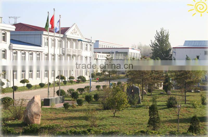 Customized Frosted Black Glass Bottles for Liquor