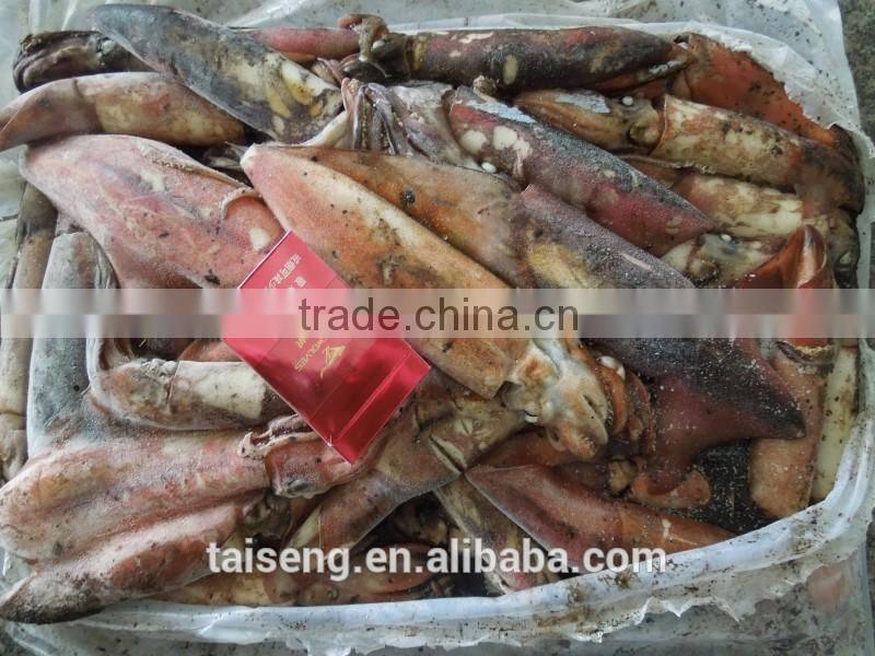 Illex argentinus squid jigs 300-400g bait fish for Tuna