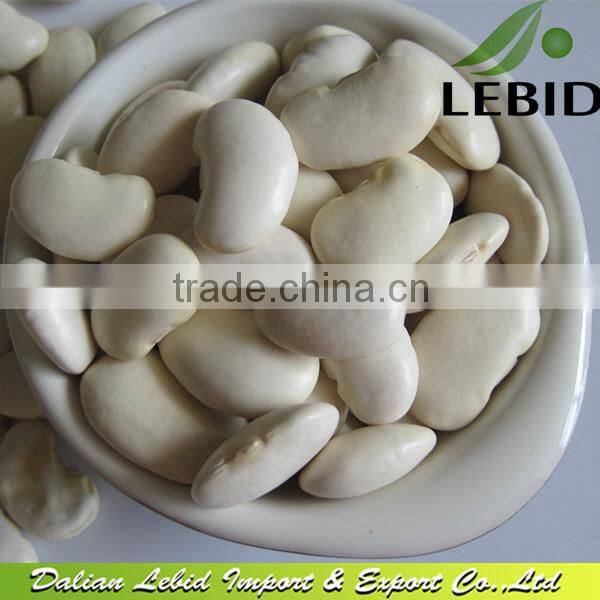 New Crop Butter Beans, Dry Butter Beans At Low Price