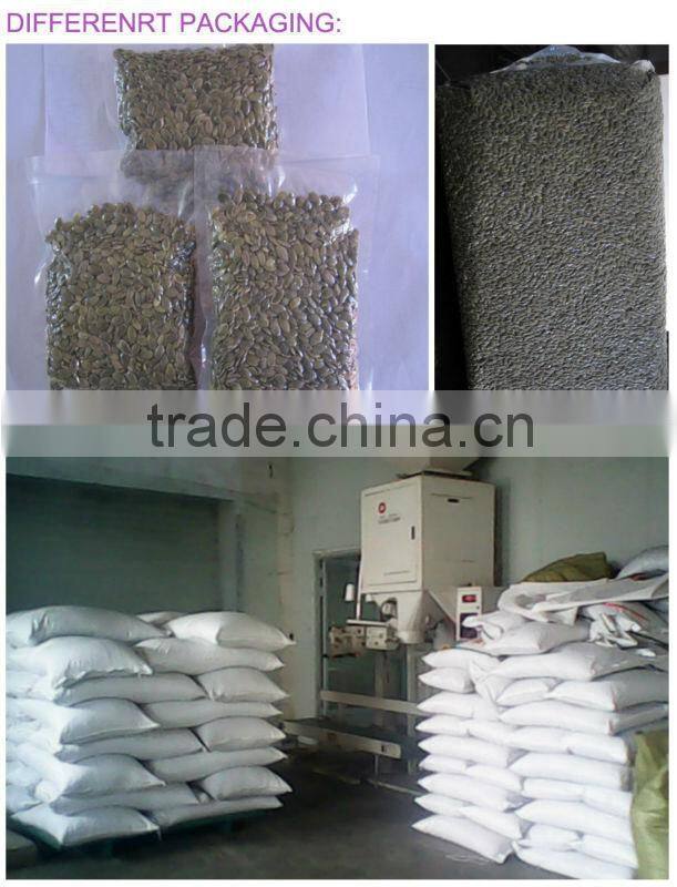 China Raw Edible Pumpkin Seeds