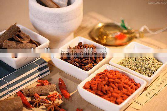 Electric corn grinder for chicken feed