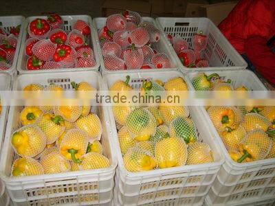 Hot sale sweet pepper/bell pepper/red bell pepper