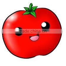 Tomato Sauce Ketchup Catsup