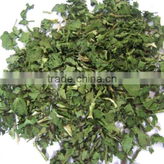 2015 New products coriander powder new inventions in china