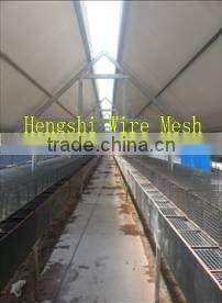 Wire Mesh Cage for animal