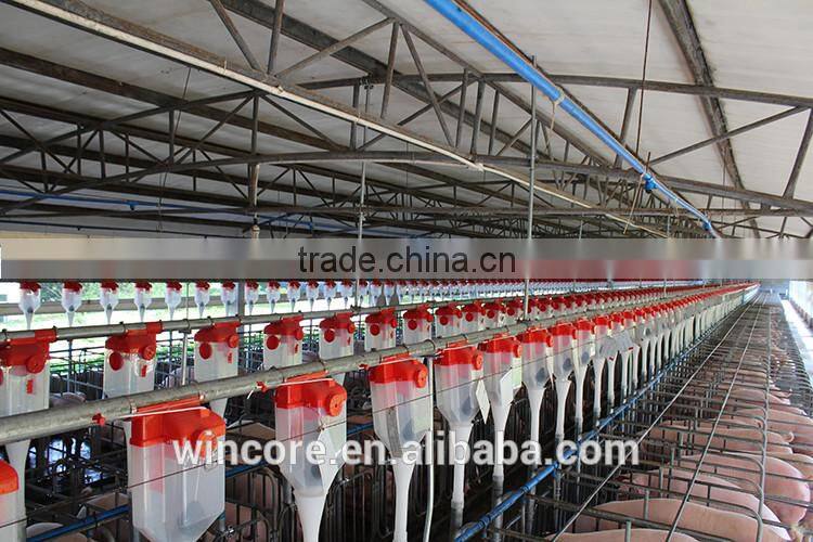 New Products Low Cost High Output Pig Feeding Equipment