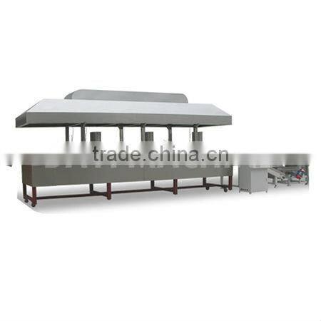 Continuous / automatic fryer