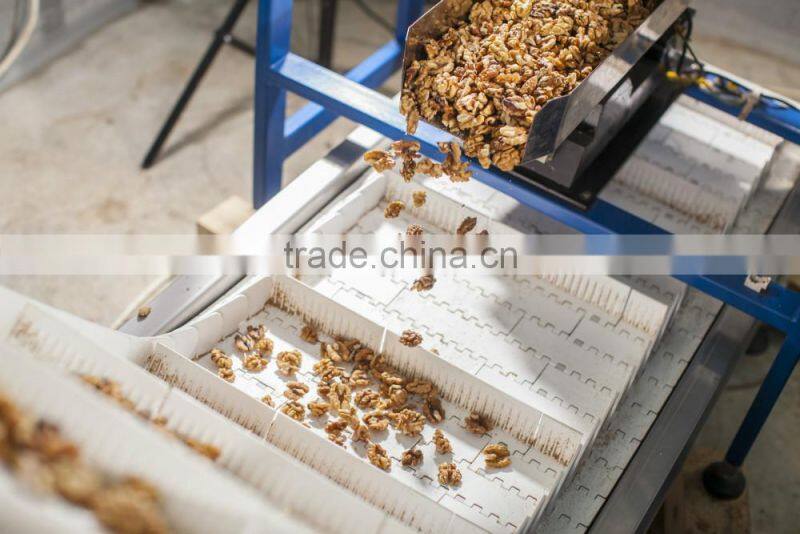 Walnut kernel five layer continuous type hot air dryer