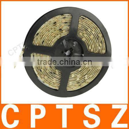 Epoxy Waterproof Green Decoration LED 3528 SMD Rope Light, 120 LED/M, Length: 5M