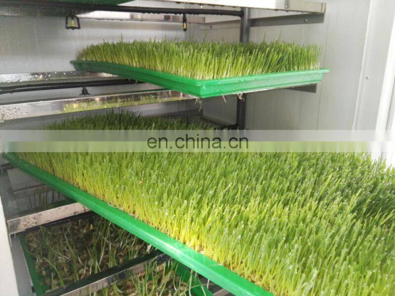 mung soya bean sprout machine /alfalfa bean sprout growing machine/hydroponic fodder machine