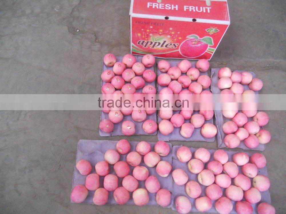 Best price bulk Yantai red Fuji apple fruit