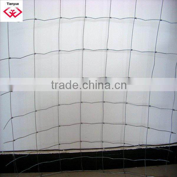 Galvanized Grassland Fence/Anping Manufacturer