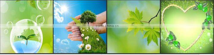 100% pure and natural Avocado Oils with GMP certificated