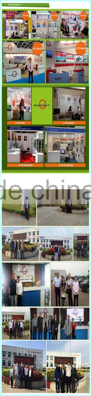 Monopole N52 neodymium magnet for leather bags packing