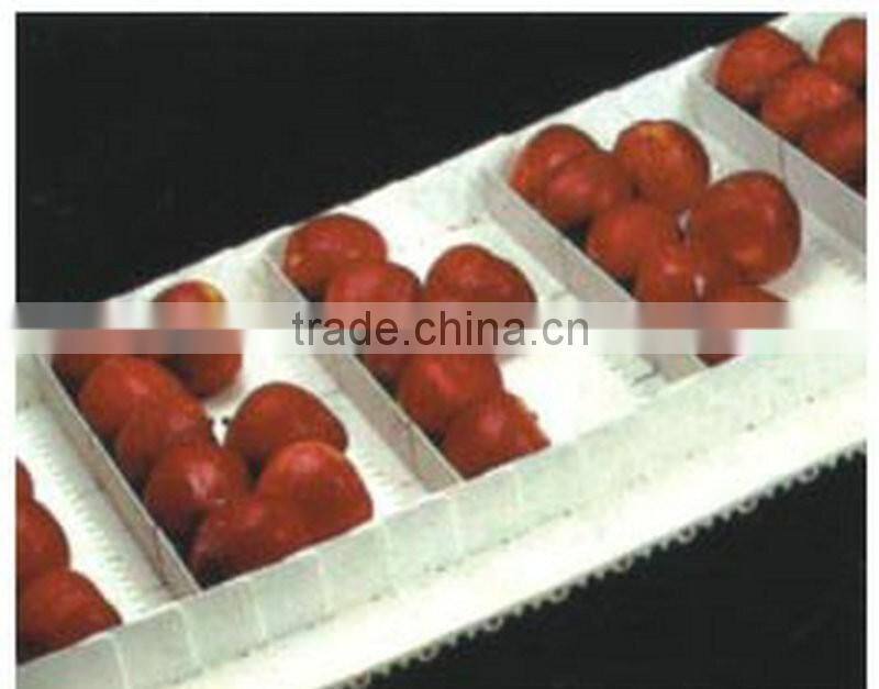 Adjustable speed vegetable belt conveyor price