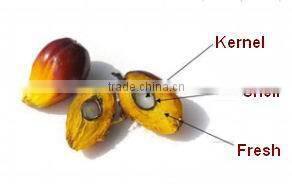 Welcome to compare with our palm kernel oil pressers