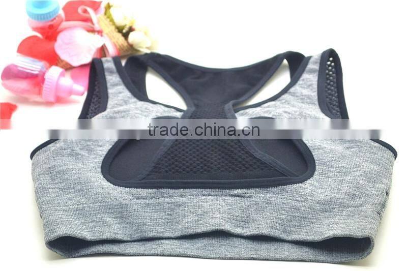 sexy ladies sport crop top padded bra underwear wholesale