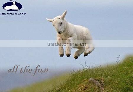 Wool Cashmere Scottish Tartan Scarf