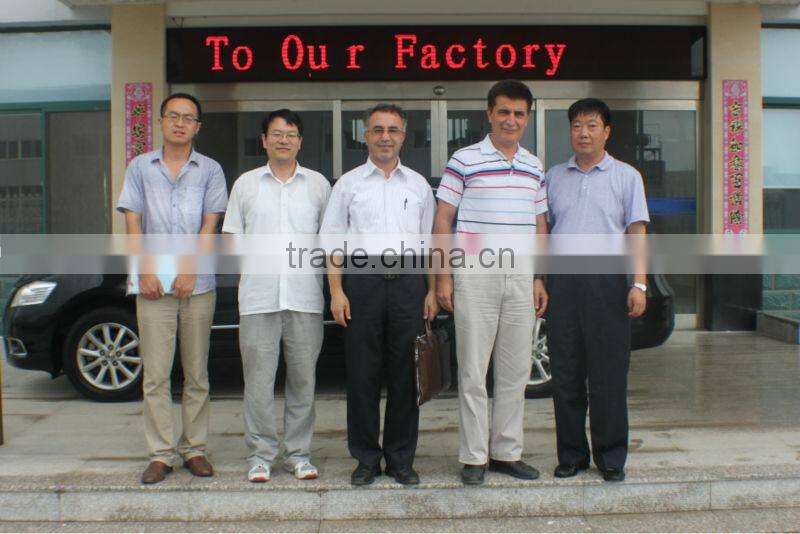 Pendulum Type Feeder With Excellent Quality From Lipu Shanghai