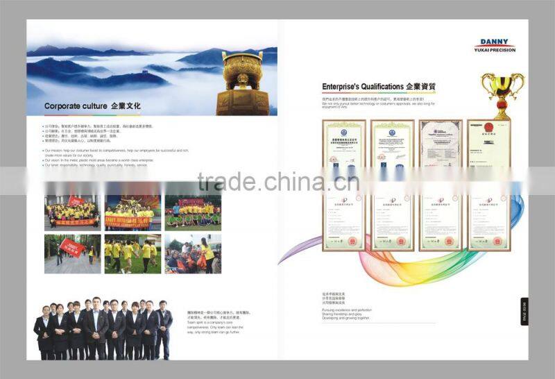 ISO10243 Mold Spring for plastic mold