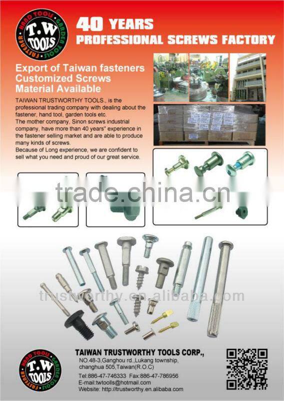 Taiwan round head customized particular professional customized screw