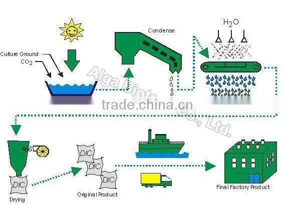 250mg pure chlorella tablets